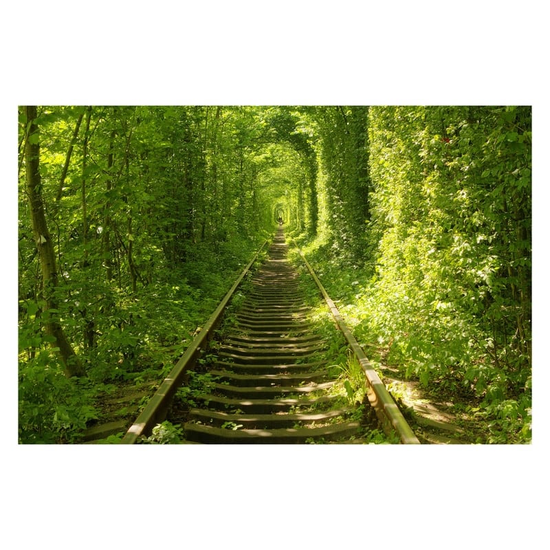 Yosemite Home Decor Entry to Spring Tempered Glass Wall Art - Multi-color