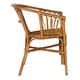 preview thumbnail 9 of 14, SAFAVIEH Adriana Rattan Accent Chairs (Set of 2) - 22.8" W x 23.6" L x 30.3" H
