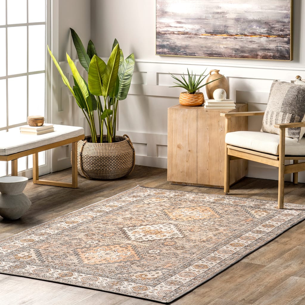 Nuloom Kesia SpinClean Vintage Bordered Machine Washable Area Rug