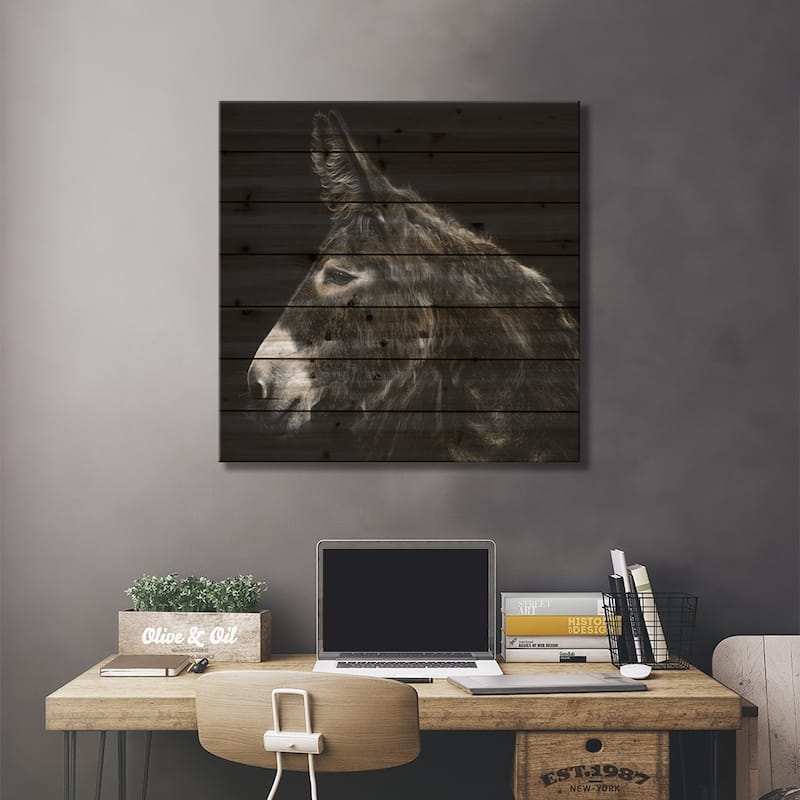 Donkey Portrait I Print On Wood by PHBurchett - Multi-Color