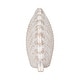 preview thumbnail 21 of 41, Coastal Decorative Resin Shell Figurine Sculpture - White