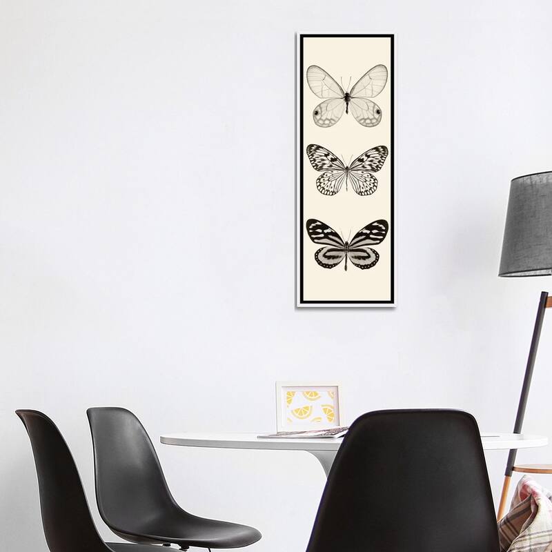 iCanvas "Butterfly Panel II In B&W" by Debra Van Swearingen Framed Canvas Print