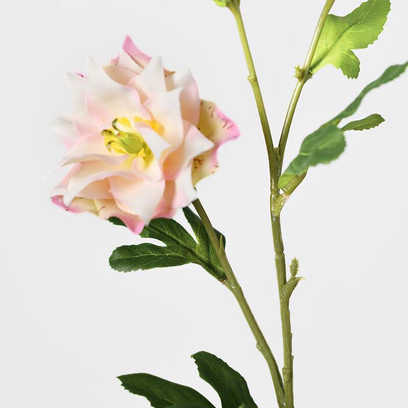 Silk Decorative Artificial Persian Buttercup(Pack of 1 Branch)