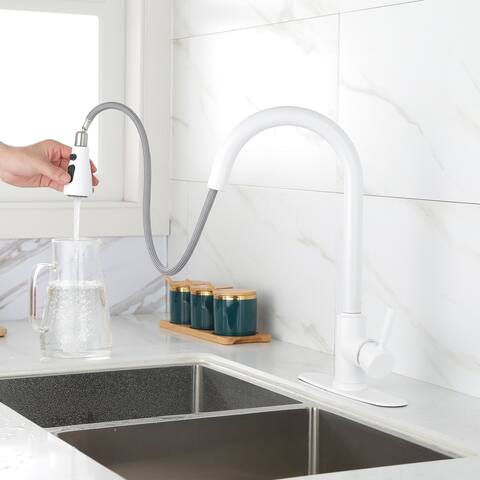 White Kitchen Faucet with Pull Out Sprayer