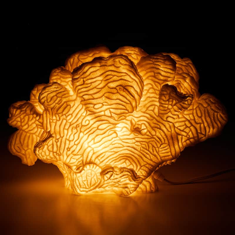 Aria Home Coral Cloud Table Lamp Sculpted Sandstone Accent Lighting