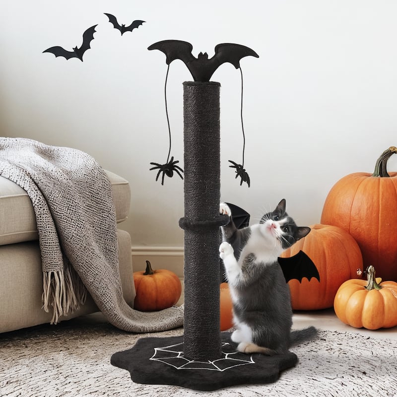 25" Halloween-Themed Cat Scratching Post - Black