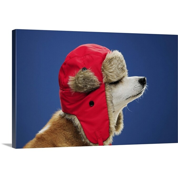 Shop Dog Wearing His Winter Hat Canvas Wall Art Overstock