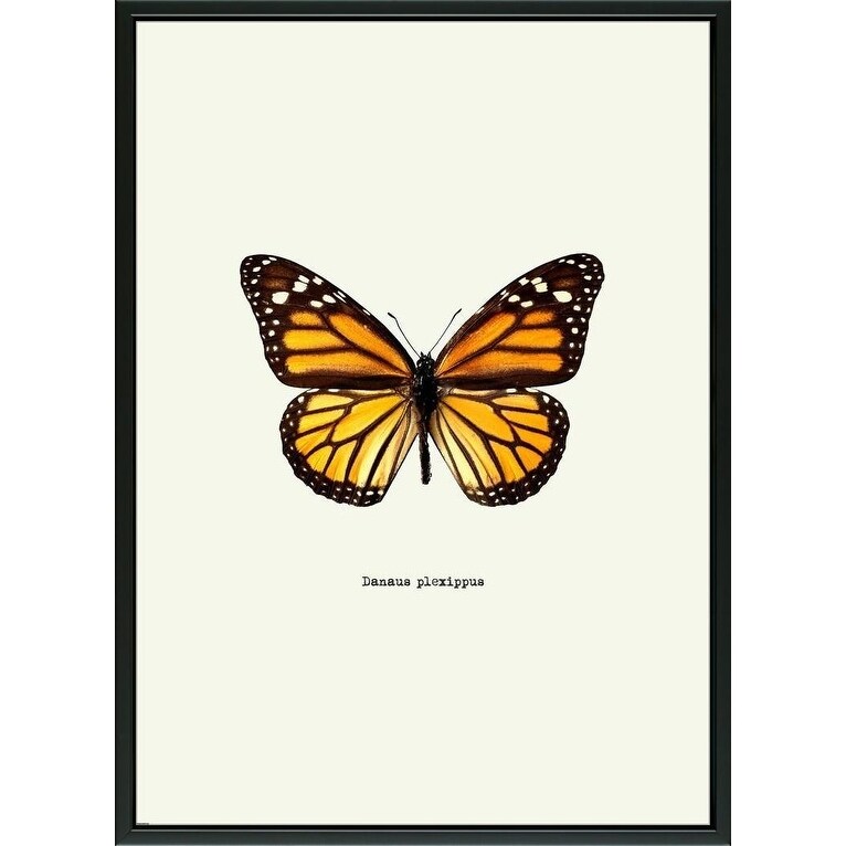 easy art prints graphinc s yellow butterfly premium canvas art