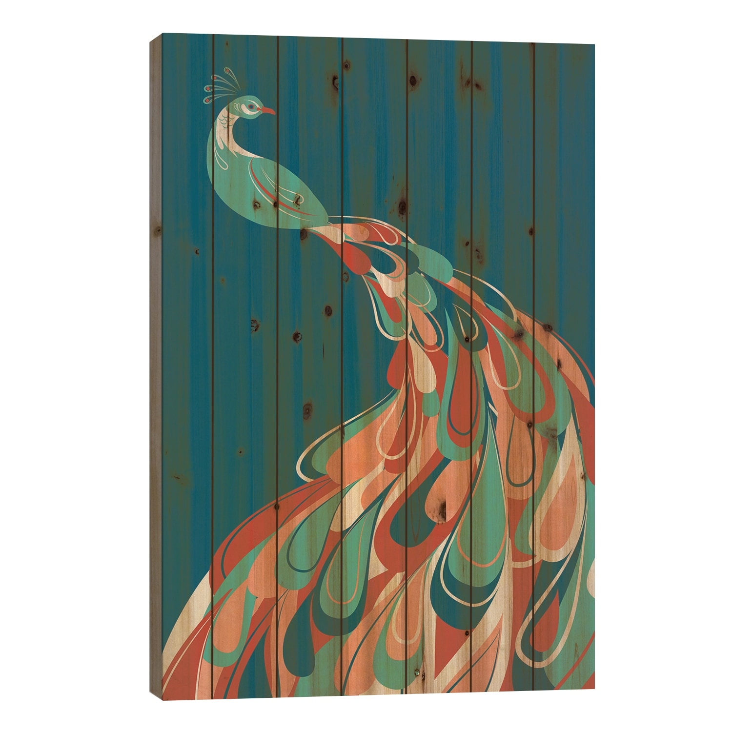 Peacock Print On Wood by Jay Fleck - Multi-Color