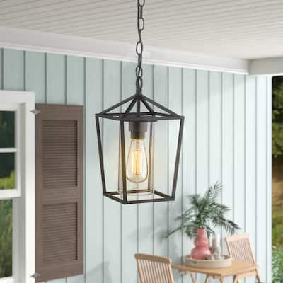 1-light Black Metal With Glass Shade Outdoor Hanging Pendant Light