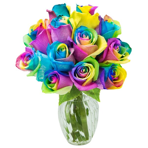 Shop KaBloom: Fresh Cut Rainbow Rose Bouquet of 12 Rainbow ...