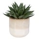 preview thumbnail 3 of 3, Uttermost Doha Succulent Accent - 11"W x 10.5"H x 9"D