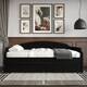 Option Black