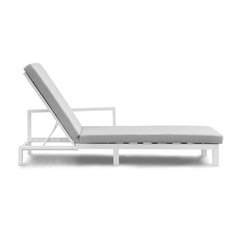 Benton Modern Aluminum Lounge Outdoor Double Chaise with Cushion