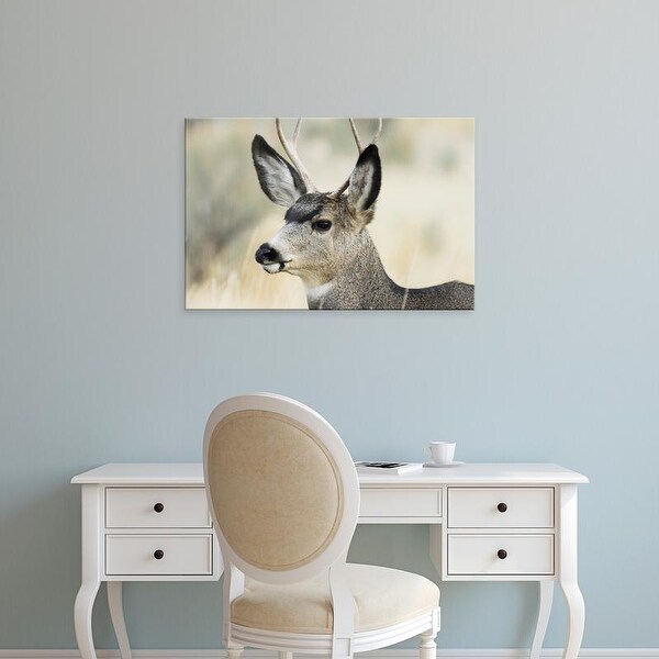 Easy Art Prints Gerry Reynolds's 'Buck' Premium Canvas Art