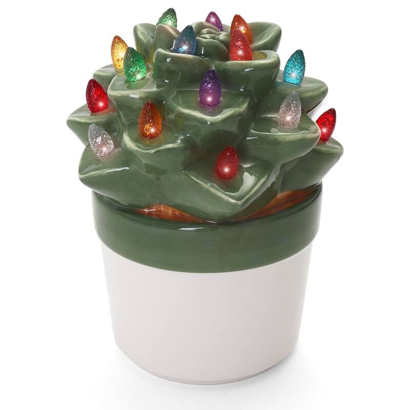 Echeveria Succulent with Multicolored Lights