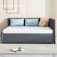 Option Grey