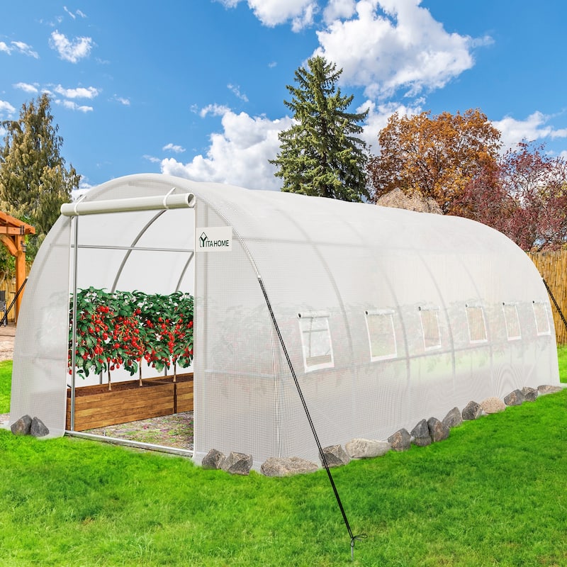 Moasis Walk-in Greenhouse with Reinforced Steel Frame