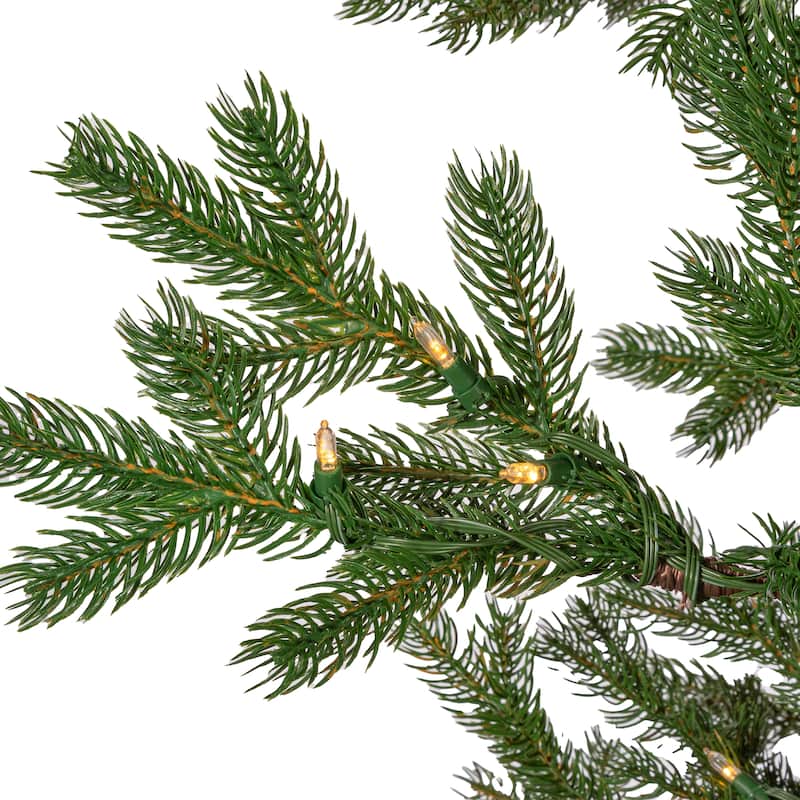 9 Foot Tall Rainer Pine Christmas Tree with Sparse Branches - N/A