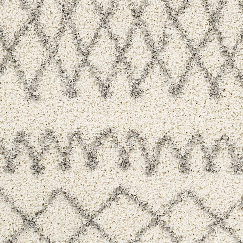Graydon Moroccan Plush Area Rug