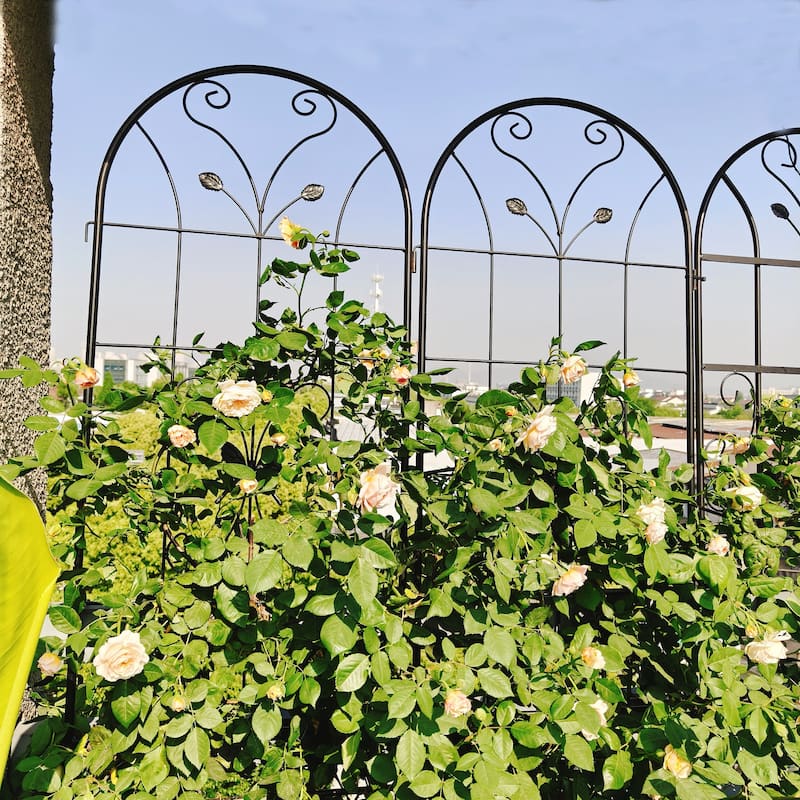 4 Pack Metal Garden Trellis Rustproof Trellis for Climbing Plants Outdoor Flower Support Black