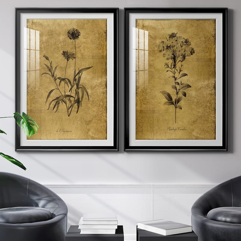 Gold Sketch Botanical I Premium Framed Print - Ready to Hang