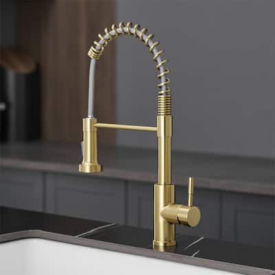Kitchen Faucet with Pull Down Sprayer Single Handle