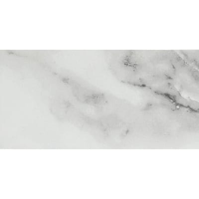 Emser Tile Contessa - 3" x 6" Rectangle Walls Tile - Matte Visual -