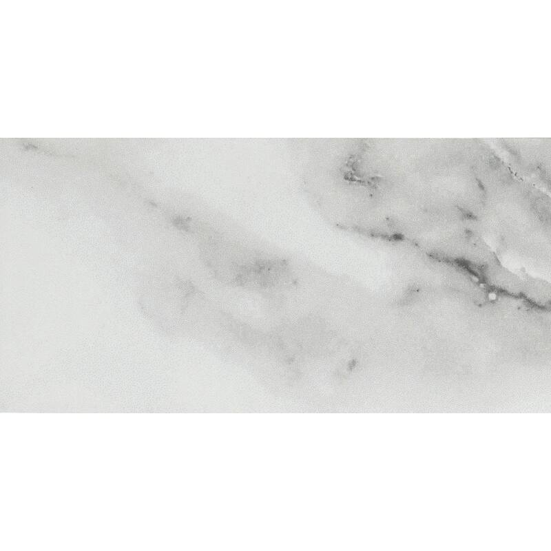 Emser Tile Contessa - 3" x 6" Rectangle Walls Tile - Polished Visual - - Dama