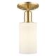 Option Champagne Bronze / Matte White
