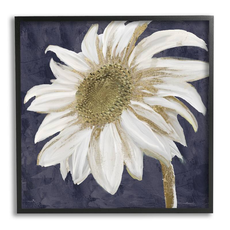 Stupell Distressed Daisy Petals Framed Giclee Texturized Wall Art, Design By Sophie 6 - 12 x 12 - Black