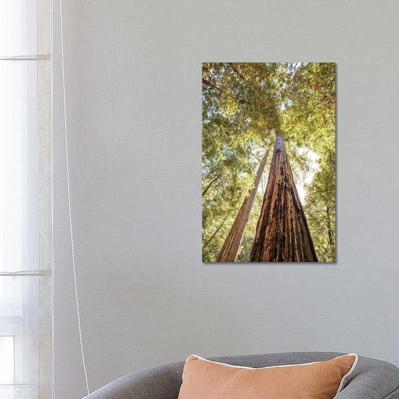 iCanvas "The Tallest Redwoods" by Joseph S. Giacalone Canvas Print - 26x18x1.5