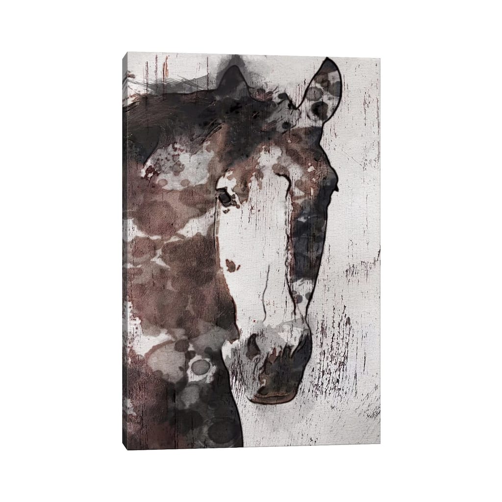iCanvas "Gorgeous Horse IV" by Irena Orlov Canvas Print