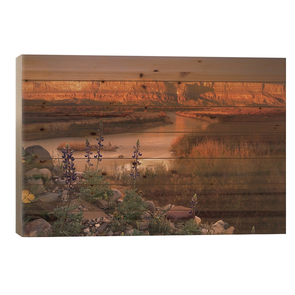 Sierra Ponce And Rio Grande, Big Bend National Park, Texas Print On Wood by Tim Fitzharris - Multi-Color
