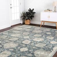 Buy Area Rugs Clearance Liquidation Online At Overstock Our