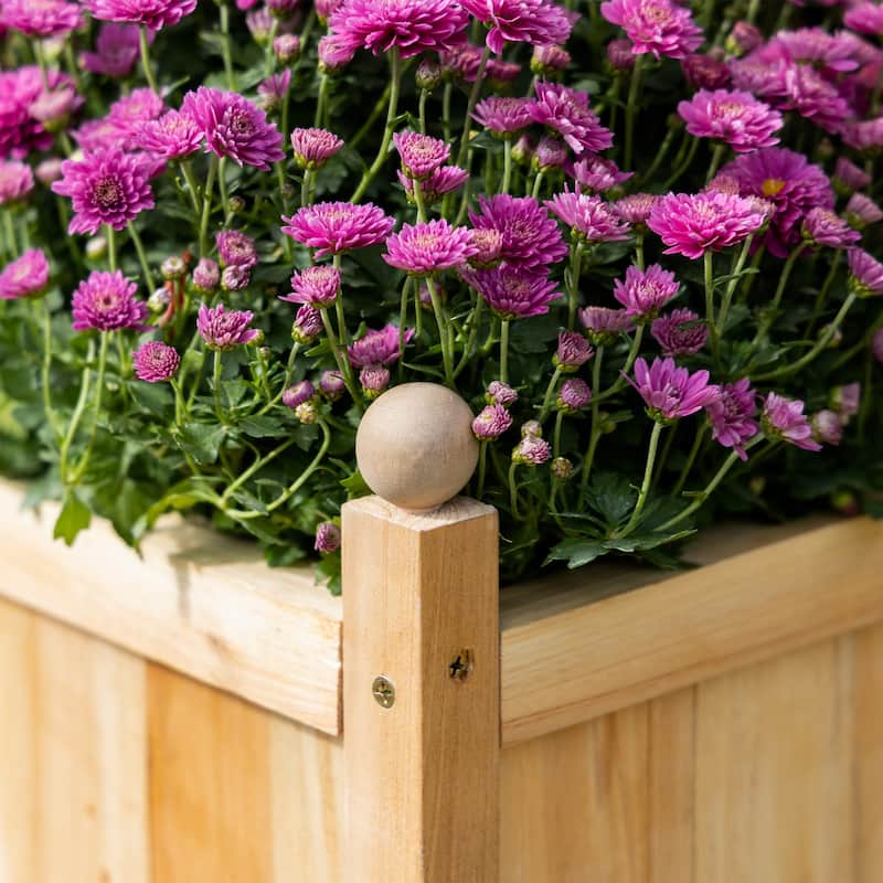 Countryside Style Outdoor Planter Box Garden Bed with Trellis Drainage Crevices, for Climbing Vine Plants Flowers - 8' x 10'