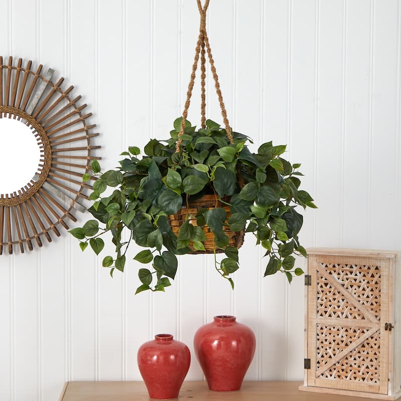 Hanging Plant Basket Indoor, 29" Island Oasis Philo, Decorative Green Foliage, Low Maintenance Home Decor