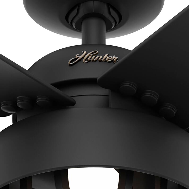 Hunter 52" Autumn Breeze II Ceiling Fan Indoor Outdoor LED Light & Handheld Remote - Industrial, Transitional, Modern, Caged