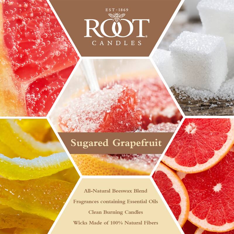 Root Sugared Grapefruit Scented 3-Wick Signature Honeycomb Jar - 12 oz