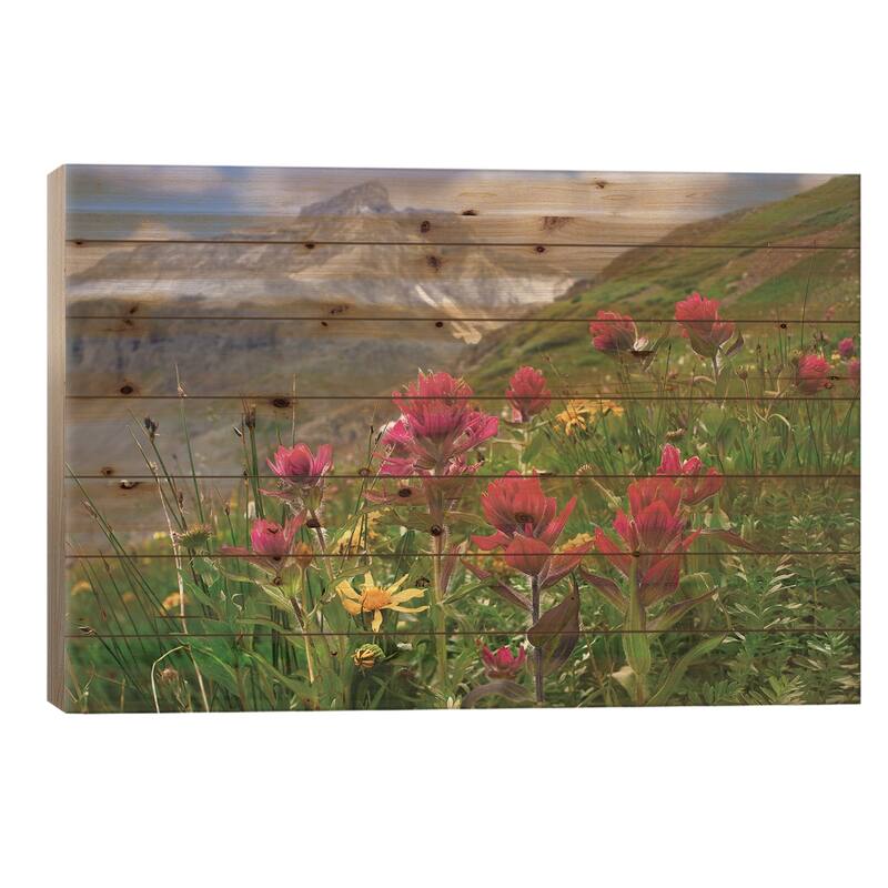 Paintbrush Flowers, Yankee Boy Basin, Colorado Print On Wood by Tim Fitzharris - Multi-Color - 18x26x1.5