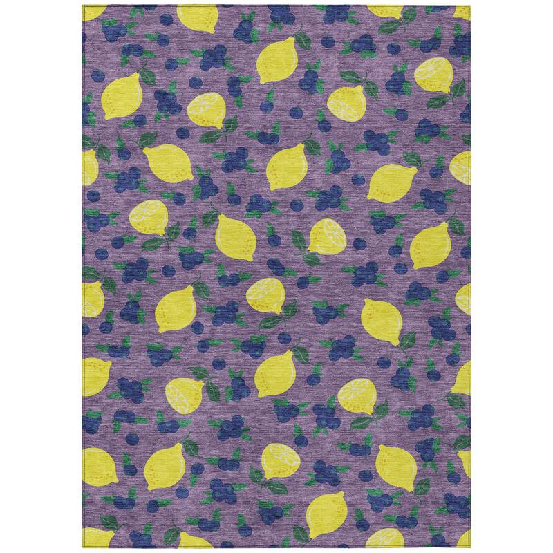 Machine Washable Indoor/ Outdoor Citrus Berry Chantille Rug