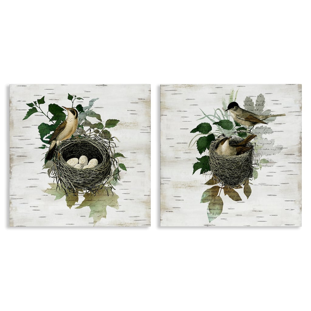 Stupell Rustic Vintage Bird Nests Canvas Wall Art Design By Susan Arnot (Set of 2)