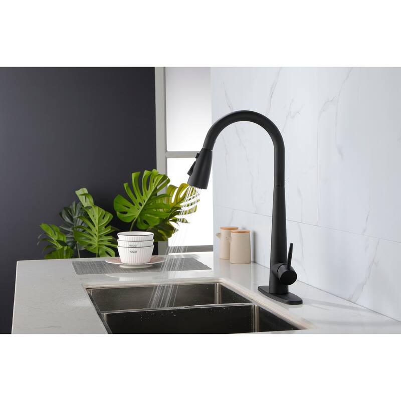 Single Handle Kitchen Sink Faucet with Pull Down Sprayer