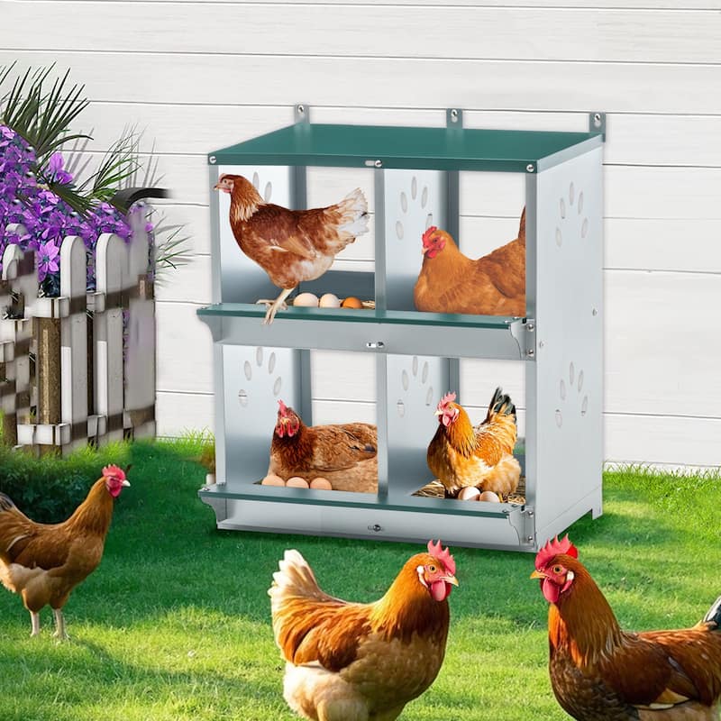 4-Compartment Chicken Nesting Box - Wall-Mount Metal Egg Laying Box for Poultry Breeds