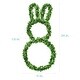 preview thumbnail 5 of 16, Fraser Hill Farm 24-inch Boxwood Bunny Wreath