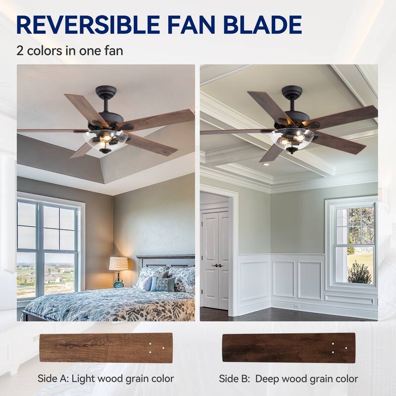 52" Farmhouse 2-Light Ceiling Fan with Glass Shade and Remote(5-Blade)