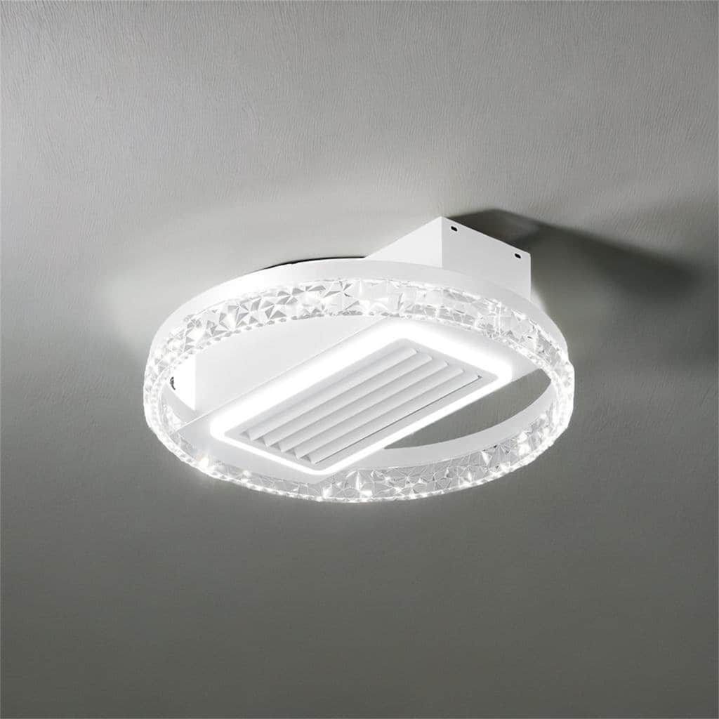 Fan Lamp With Dimmable LED