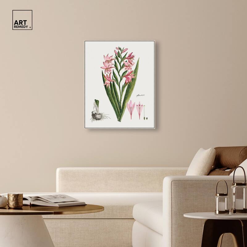 Gladiolus Carneus Canvas by Art Remedy
