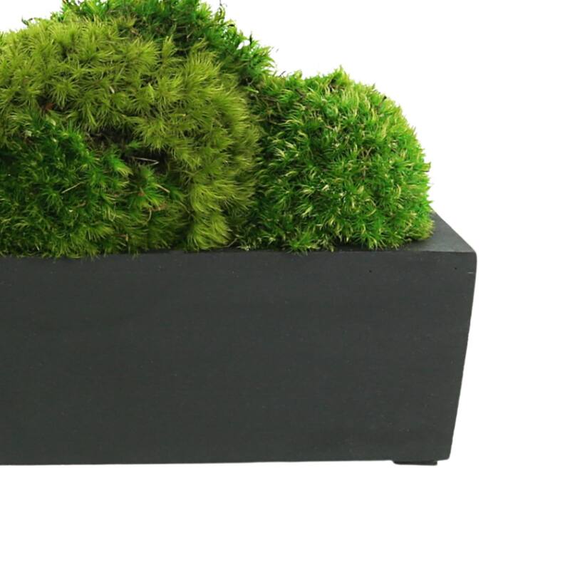 Mood Moss Arranged in a Fiberstone Planter - Green