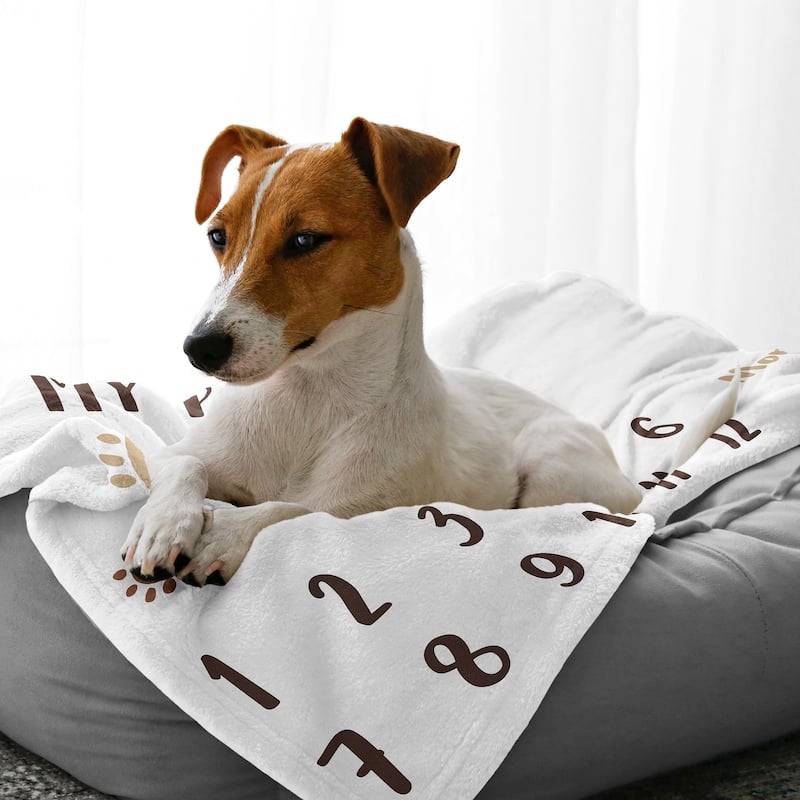 Sweet Jojo Designs Brown and White Doggy Collection Dog Birthday Puppy Milestone Blanket Taupe Paw Print Party Animal Pet Woof